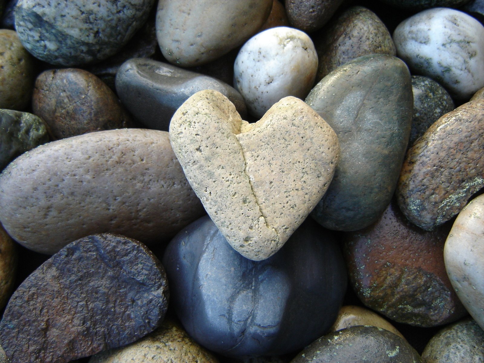 heart-of-stone-